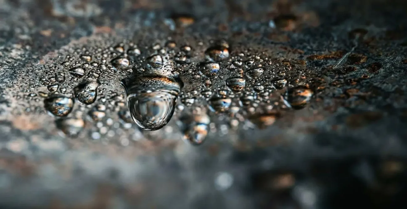 Gros plan sur des gouttelettes de condensation au plafond d'un conteneur maritime avec effet de lumière naturelle