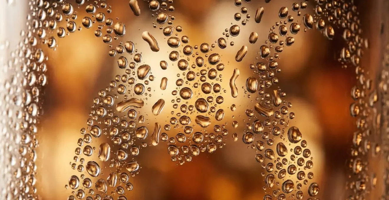 Représentation visuelle de l'évolution du taux d'alcoolémie dans le temps